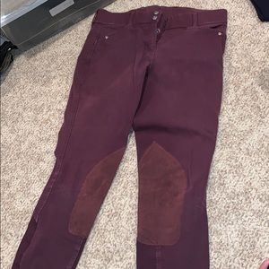 Women’s ariat breeches